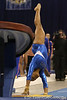 Gator Country Photo Galleries > photo by Tim CaseyFlorida senior gymnast Tiffany Murry (Orlando) during the Gators' 196.850-196.825 loss to the Georgia Bulldogs on Friday, January 18, 2008 at the Stephen C. O'Connell Center in Gainesville, Fla.