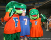 Gator Country Photo Galleries > 080817_AlbertAlberta_5090_TCaseyphoto by Tim Caseyduring the University of Florida football team's Alltel Football Fan Day on Sunday, August 17, 2008 at the Stephen C. O'Connell Center in Gainesville, Fla.